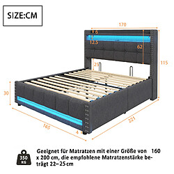 Avis Lit Coffre 160x200 cm - Modenvie - LED et USB - Lin Gris