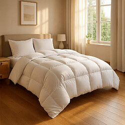 Avis Home Collection Couette 450 gr/m2 100 % polyester