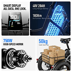 Tricycle Électrique Pliant CYSUM AG1 Pro pas cher