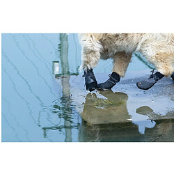 Accessoires chien de chasse
