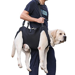 Equipement de transport pour chien
