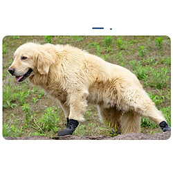 Acheter INF Chaussures Imperméables Antidérapantes pour Animaux - Lot de 4, Adhérence et Protection Am