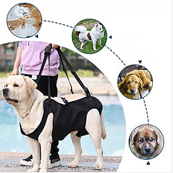 INF Harnais de soutien arrière pour chien - Sling de levage en tissu Oxford pour chiens âgés, pas cher