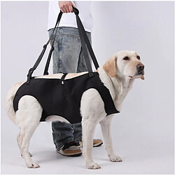 Acheter INF Harnais de soutien arrière pour chien - Sling de levage en tissu Oxford pour chiens âgés,