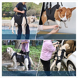 Avis INF Harnais de soutien arrière pour chien - Sling de levage en tissu Oxford pour chiens âgés,