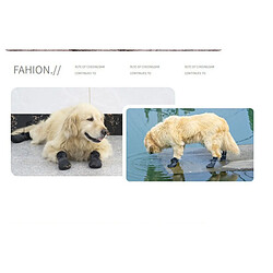 Avis INF Chaussures Imperméables Antidérapantes pour Animaux - Lot de 4, Adhérence et Protection Am