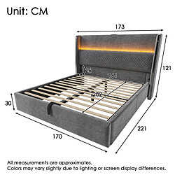 Avis Lit Coffre 160x200 cm Modenvie LED USB Type C Gris avec matelas