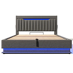 Acheter Lit Coffre Double 180x200 cm Modenvie avec LED et USB en lin gris