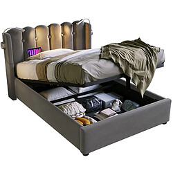 Lit Coffre 90x200 cm - Modenvie - USB et liseuse - Velours gris pas cher