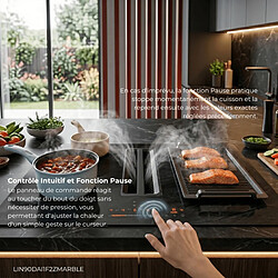 Acheter Table induction aspirante encastrable 4 foyers Linarie LIN90DAI1F2ZMARBLE dont 2 flex zone