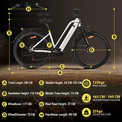 Acheter Paselec Vélo électrique urbain TX10 250W batterie 48V 19,2Ah autonomie 80km 7 vitesses écran LCD