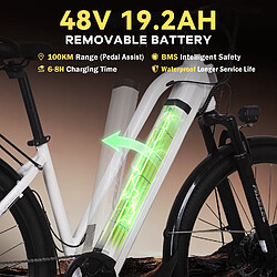 Avis Paselec Vélo électrique urbain TX10 250W batterie 48V 19,2Ah autonomie 80km 7 vitesses écran LCD