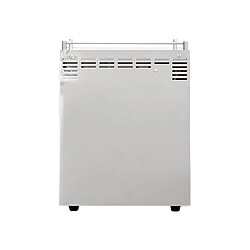 Acheter Ascaso Steel Duo PID V2 - Inox et bois
