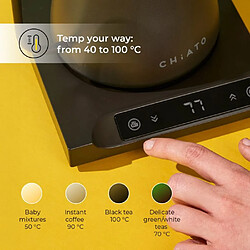 Avis Chiato Flowplay Gooseneck 0,6 L Noir