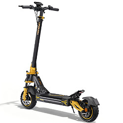 Avis Trottinette TWOFISH V2 MAX 800W 48V 20Ah 50km