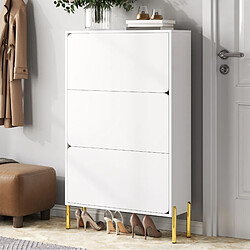 Acheter STILVORA Meuble à chaussures 73/24/120 cm blanc en MDF avec portes et pieds dorés