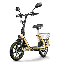 Trottinette électrique