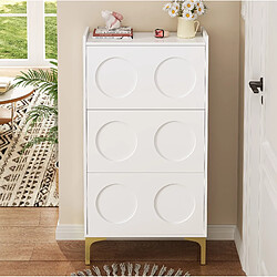 Acheter STILVORA Meuble à chaussures 63/24/120 cm blanc en MDF avec design gain de place
