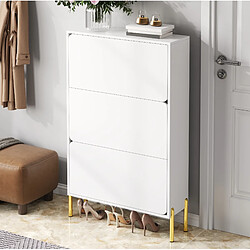 Avis STILVORA Meuble à chaussures 73/24/120 cm blanc en MDF avec portes et pieds dorés