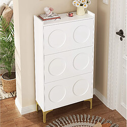 Avis STILVORA Meuble à chaussures 63/24/120 cm blanc en MDF avec design gain de place