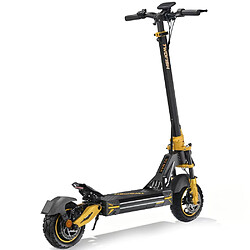 Trottinette TWOFISH V2 MAX 800W 48V 20Ah 50km pas cher