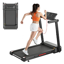 Avis Formill FT62 Tapis de Course 4CH 1-16km/h 150kg