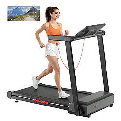 Acheter Formill FT62 Tapis de Course 4CH 1-16km/h 150kg