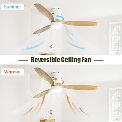 Ventilateur