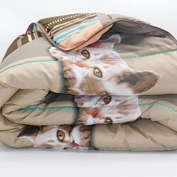 Couette & couverture