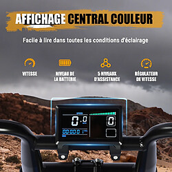 Vélo électrique Eskute V202 batterie 48V 20.8Ah autonomie 80km vitesse 40km/h 7V Shimano pas cher
