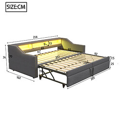 Avis Canapé Lit Gigogne 90/180x200 cm - Modenvie - rangement USB LED - Gris foncé
