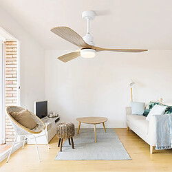 Ventilateur