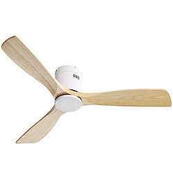 Ventilateur