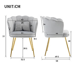 Acheter STILVORA Fauteuil 78/71/84 cm gris en velours avec dossier pétale et coussin