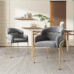 Avis STILVORA Chaise de salle à manger grise en velours avec pieds en métal ergonomique