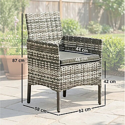 Acheter STILVORA Lot de 2 chaises de jardin 58/62/87 cm gris en rotin avec coussins amovibles