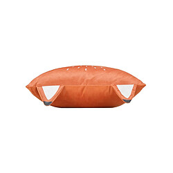 Coussin d'intérieur
