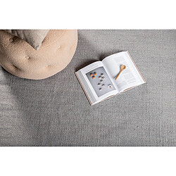 Paris Prix Tapis Déco Jaipur 200x300cm Gris pas cher
