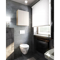 Acheter Stiv-Meubles Armoire murale Chêne Sonoma Blanc 60 cm - Meuble haut et colonne pour salle de bain