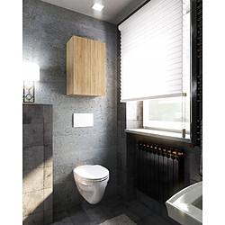Acheter Stiv-Meubles Armoire murale Chêne Sonoma 40x25x60cm - Meuble haut et colonne pour salle de bain