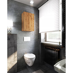 Acheter Stiv-Meubles Armoire murale Chêne Wotan 40x25x60cm - Meuble haut et colonne pour salle de bain