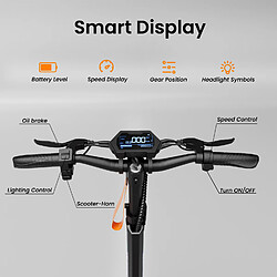 Acheter RUITOO Trottinette électrique M4 Max pliable moteur 1000W 48V batterie 15,6Ah autonomie 55km