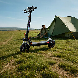 RUITOO Trottinette électrique RT6 pliable moteur 48V 1000W batterie 15,6Ah autonomie 50-55km pas cher