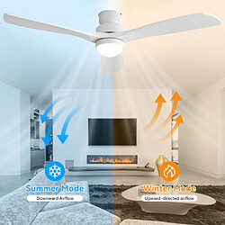 Ventilateur