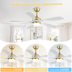 Avis ByteLike Ventilateur de plafond lumineux 52 pouces à 5 pales blanches