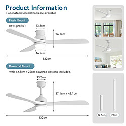 ByteLike Ventilateur de plafond lumineux 52 pouces à 3 pales en bois massif pas cher