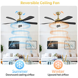 Ventilateur