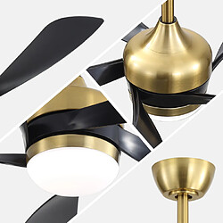 Acheter ByteLike Ventilateur de plafond lumineux 52 pouces à 5 pales noires