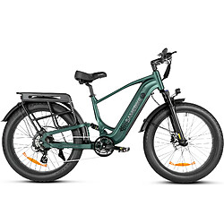 Avis Samebike STORM-FT