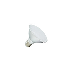 Lampe